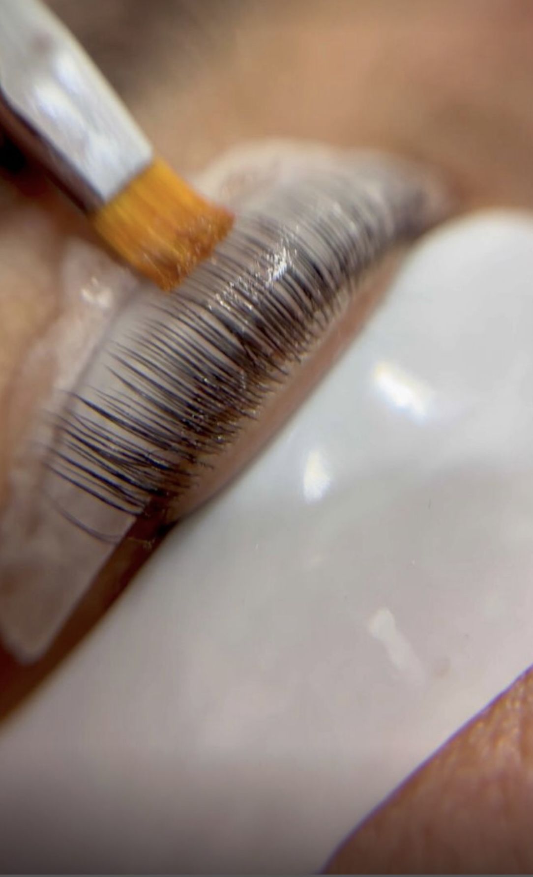 Lash Lifting